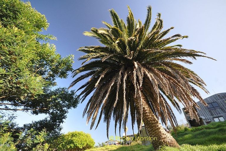 Photo of property in 32 Sandy Beach Road, Tinopai, 0593