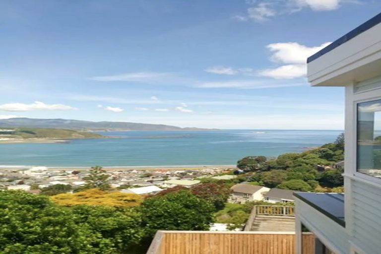 Photo of property in 49 Hornsey Road, Melrose, Wellington, 6023