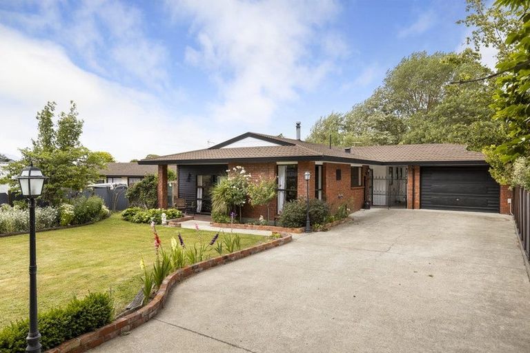 Photo of property in 17 Morrington Terrace, Witherlea, Blenheim, 7201