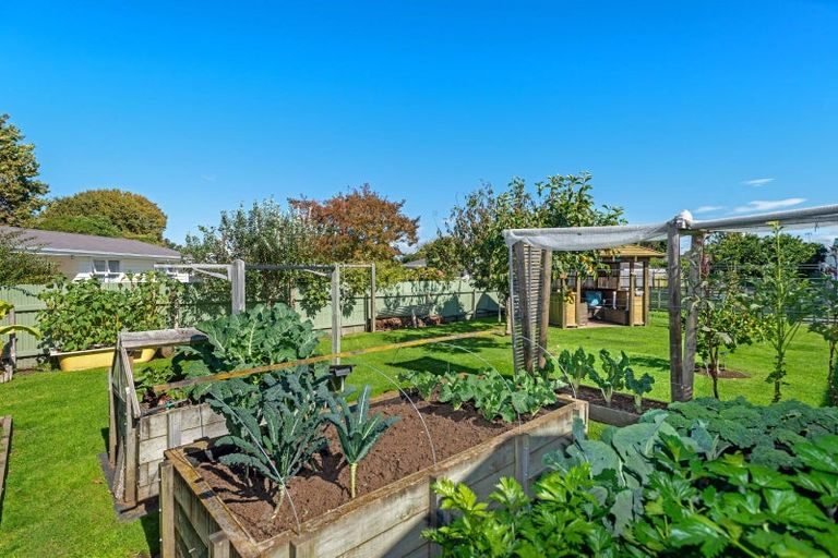 Photo of property in 11 Byron Street, Te Hapara, Gisborne, 4010