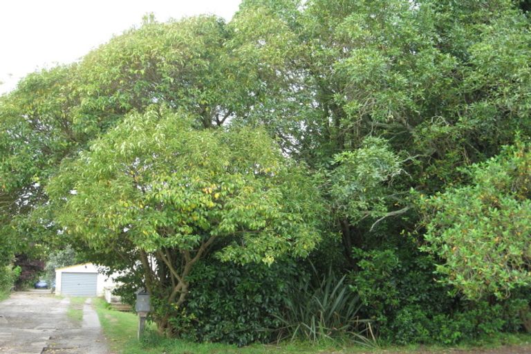 Photo of property in 35a Ford Street, Opotiki, 3122