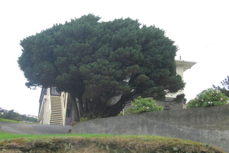 Photo of property in 7 Fraser Avenue, Johnsonville, Wellington, 6037