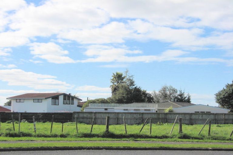 Photo of property in 9 Ngaio Street, Levin, 5510