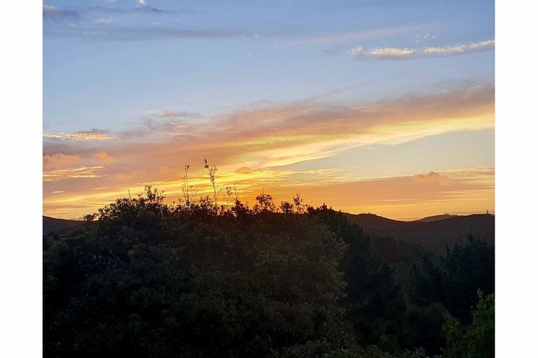 Photo of property in 19 Tui Grove, Paihia, 0200