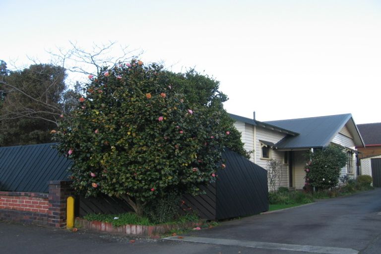 Photo of property in 248 Grey Street, Palmerston North, 4414