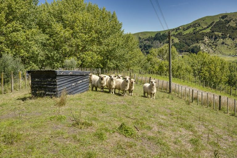 Photo of property in 122 Waipunga Road, Eskdale, Napier, 4181