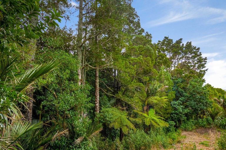 Photo of property in 6 Moore Street, Hillcrest, Auckland, 0627