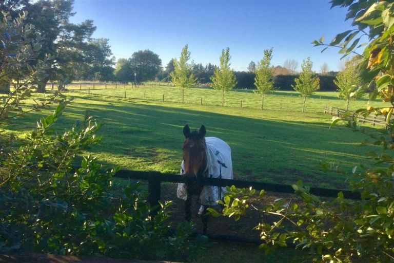 Photo of property in 50 Draffin Road, Poroti, Whangarei, 0179