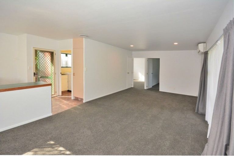 Photo of property in 169a Otumoetai Road, Brookfield, Tauranga, 3110