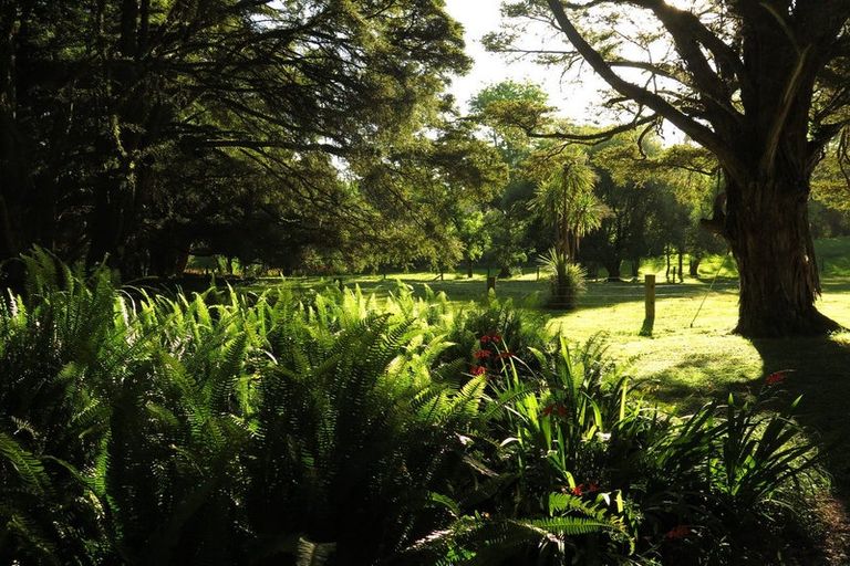 Photo of property in 130 Gibbons Road, Kaiwaka, 0573