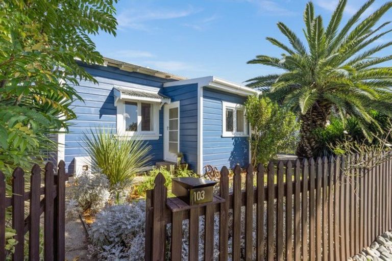 Photo of property in 103 Barden Street, Mayfair, Hastings, 4122