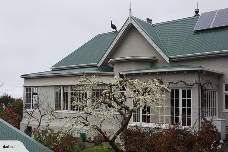 Photo of property in 28 Motu Street, Saint Clair, Dunedin, 9012