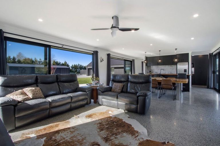 Photo of property in 169 Busby Road, Tahawai, Katikati, 3170