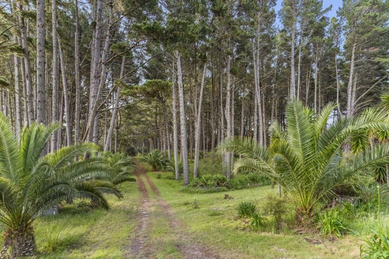 Photo of property in 466a Ohui Road, Opoutere, Whangamata, 3691