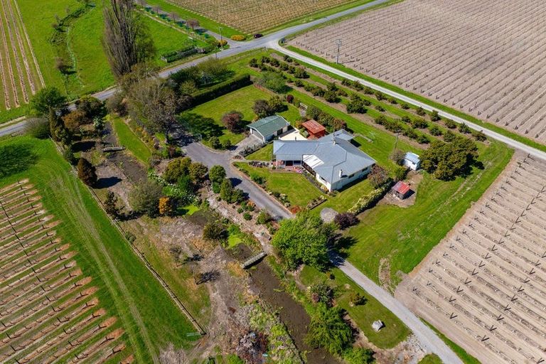 Photo of property in 189 Selmes Road, Rapaura, Blenheim, 7273