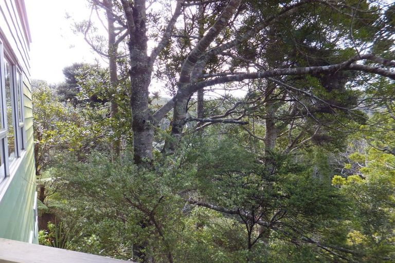 Photo of property in 35-37 Lone Kauri Road, Karekare, New Lynn, 0772