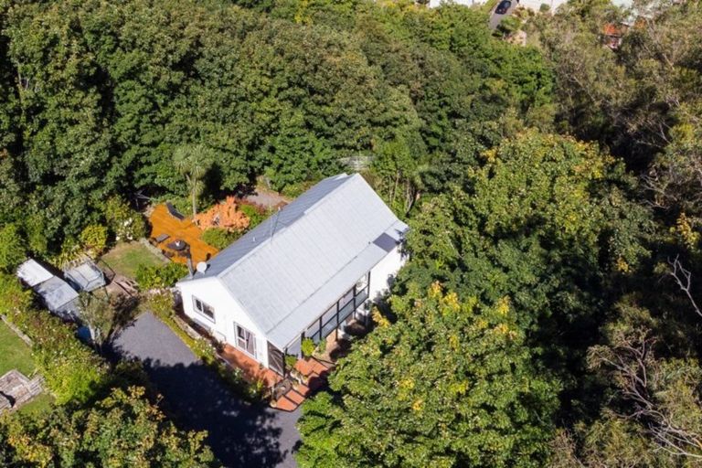 Photo of property in 55b Every Street, Andersons Bay, Dunedin, 9013