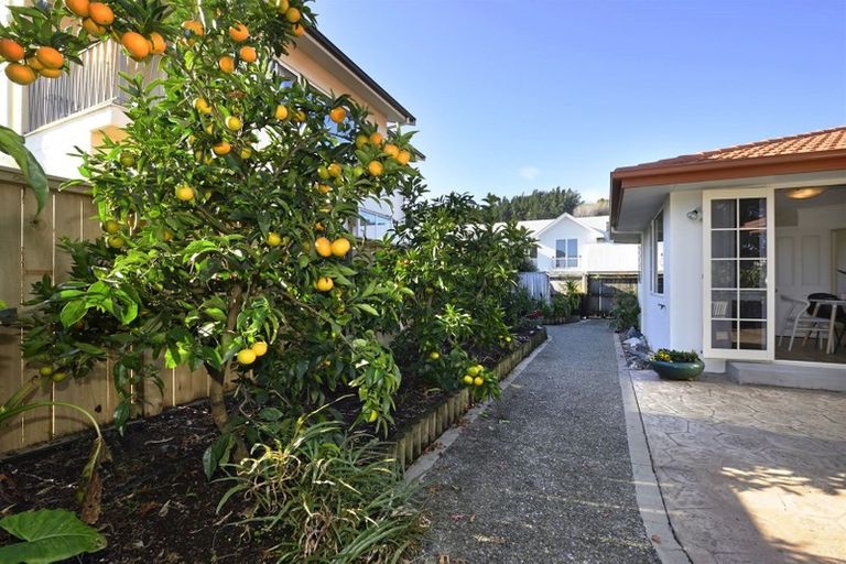 Photo of property in 90b Halifax Street East, The Wood, Nelson, 7010