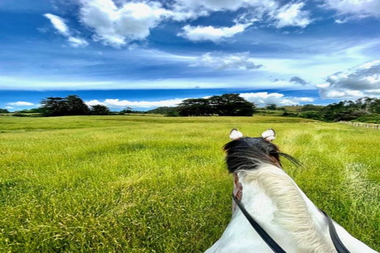Photo of property in 1320 Highway 22, Pukekawa, Tuakau, 2696