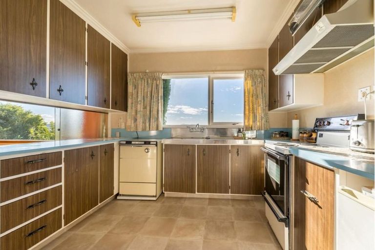 Photo of property in 53 Mailer Street, Mornington, Dunedin, 9011