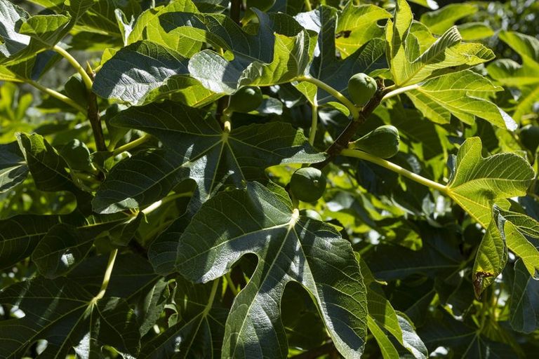 Photo of property in 41 Te Ra Road, Kaeo, Kerikeri, 0295