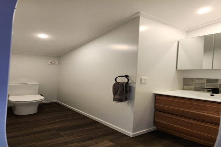 Photo of property in 91 Te Ahu Road, Pukekawa, Tuakau, 2696