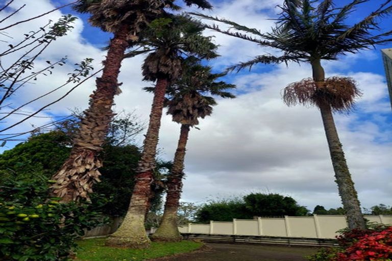 Photo of property in 24 Augusta Place, Te Kamo, Whangarei, 0112