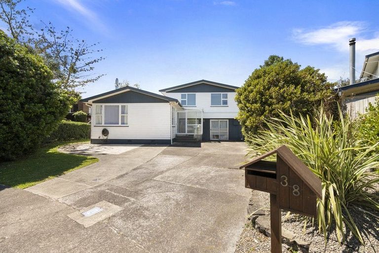 Photo of property in 38 Heatley Avenue, Hokowhitu, Palmerston North, 4410