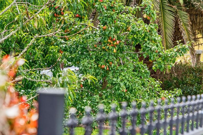 Photo of property in 1014 South Head Road, South Head, Helensville, 0874