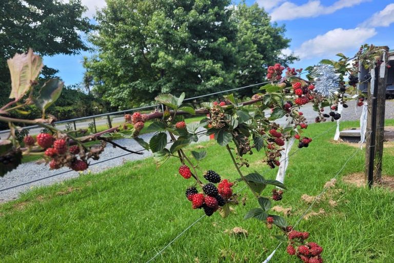 Photo of property in 647 Pipiwai Road, Matarau, Whangarei, 0176