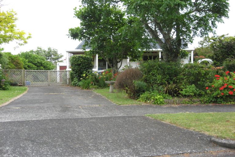 Photo of property in 17 Bledisloe Court, Pukekohe, 2120