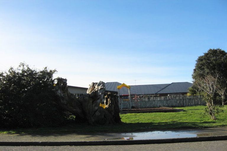 Photo of property in 147 Mackenzie Street, Winton, 9720