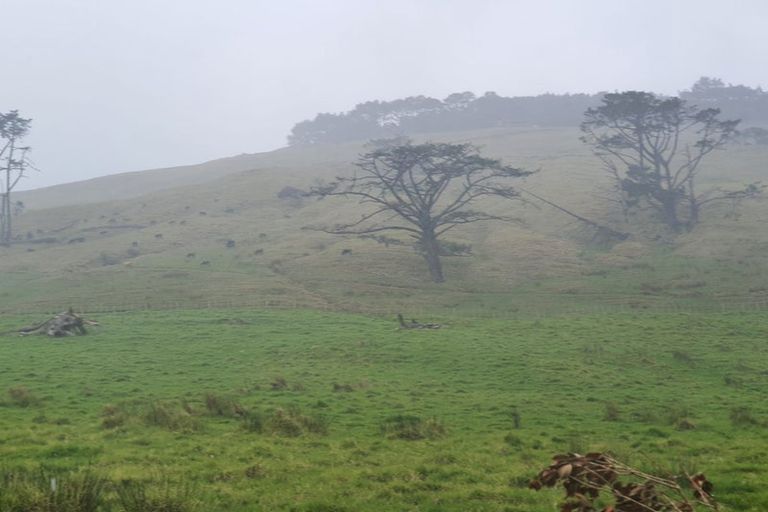 Photo of property in 289 Hokianga Harbour Drive, Omapere, Kaikohe, 0473