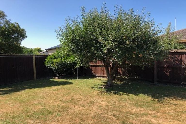 Photo of property in 19 Montclare Avenue, Ilam, Christchurch, 8041