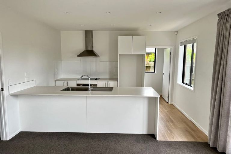 Photo of property in 114b Victoria Street West, Pukekohe, 2120