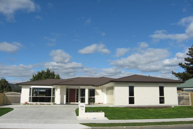 Photo of property in 12 Ngaio Street, Levin, 5510