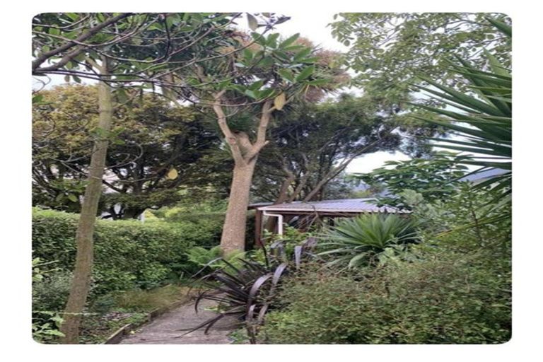 Photo of property in 22 Erin Street, Roslyn, Dunedin, 9010