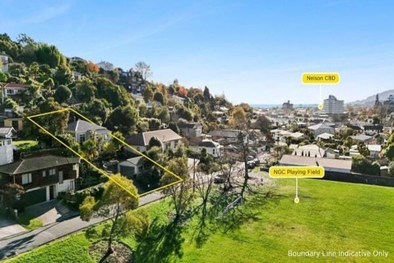 Photo of property in 20 Renwick Place, Nelson South, Nelson, 7010