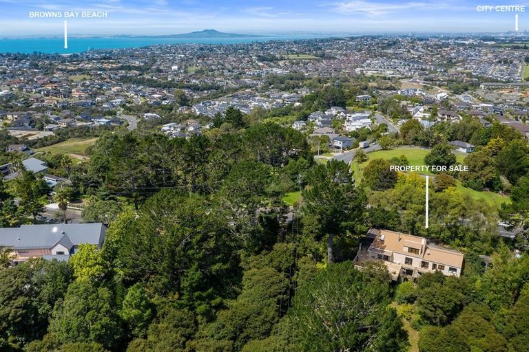 Photo of property in 144 Lonely Track Road, Redvale, Auckland, 0632