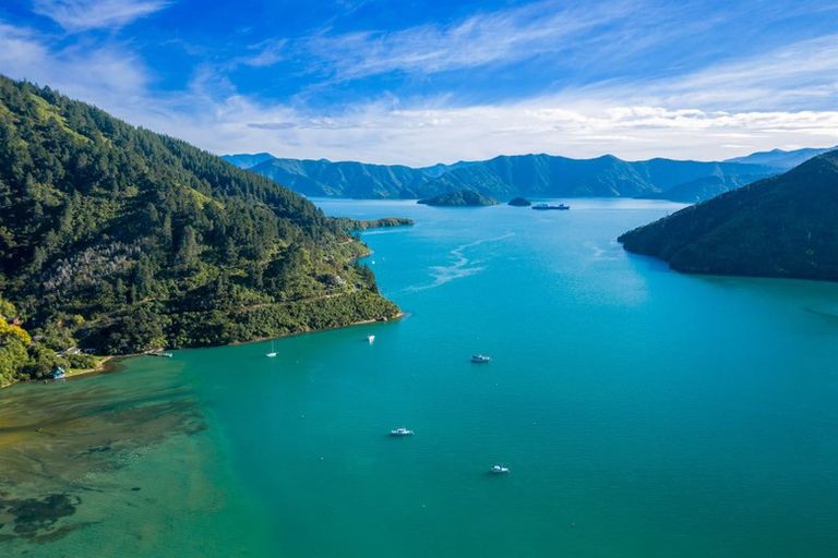 Photo of property in 619 Port Underwood Road, Whatamango Bay, Picton, 7281