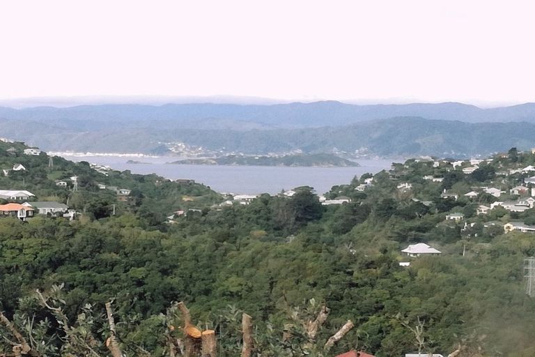 Photo of property in 51 Winston Street, Crofton Downs, Wellington, 6035