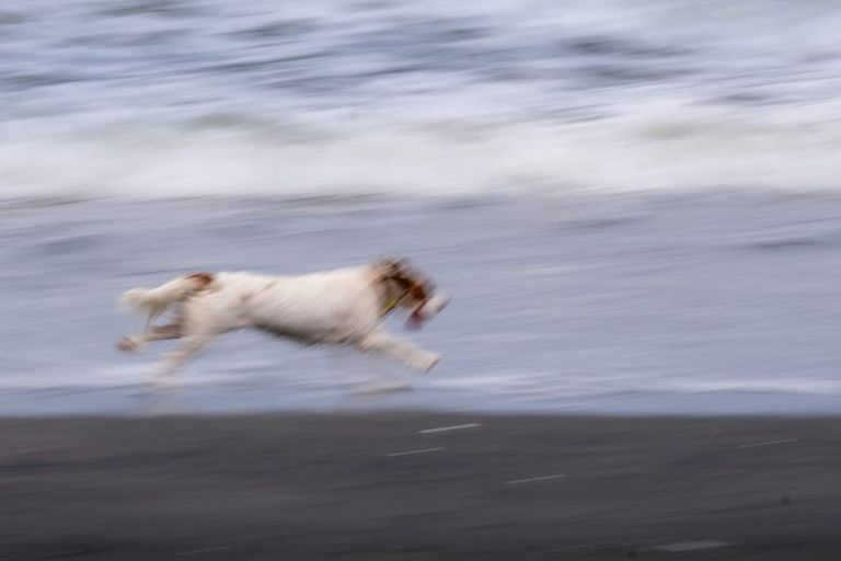 Photo of property in 29a Golf Vue Place, Castlecliff, Whanganui, 4501