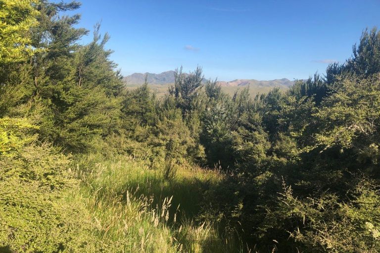 Photo of property in 49 Terako Terrace, Lyford, Waiau, 7395