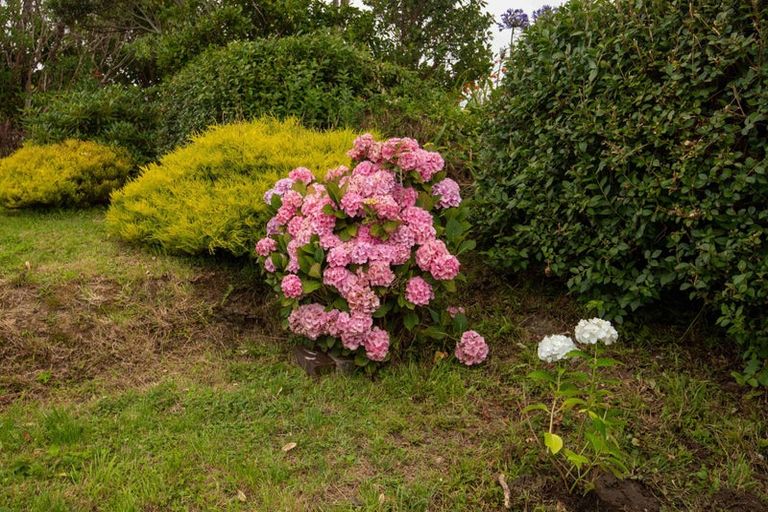 Photo of property in 50 Maungaraki Road, Korokoro, Lower Hutt, 5012