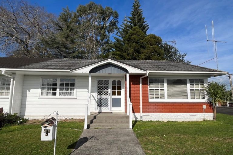 Photo of property in 212a Peachgrove Road, Claudelands, Hamilton, 3214