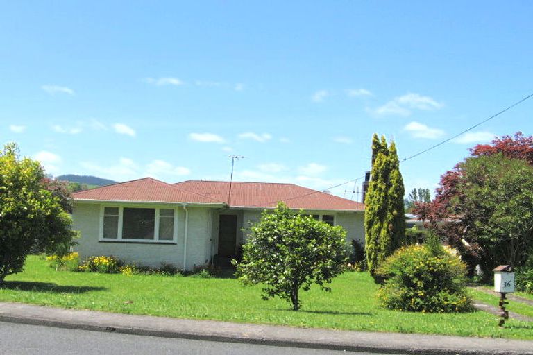 Photo of property in 36 Anzac Street, Te Kuiti, 3910