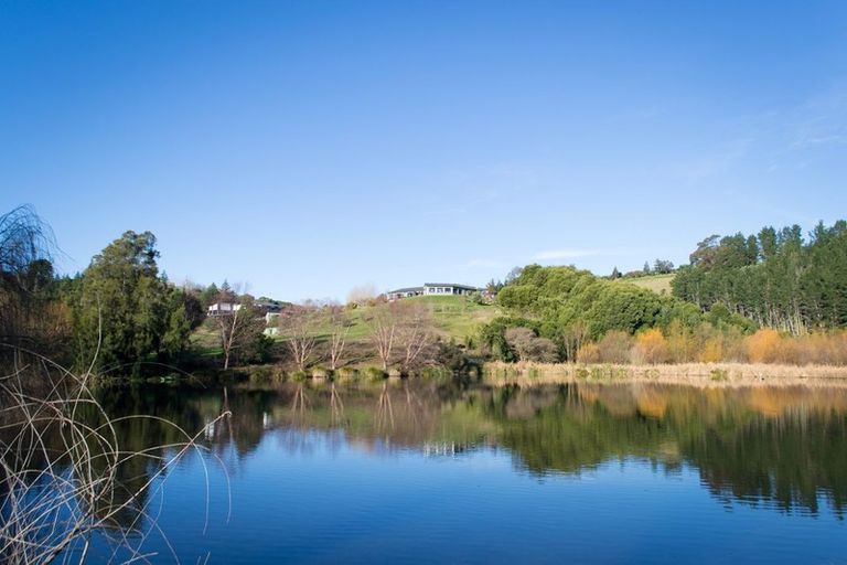 Photo of property in 135 Ballantyne Road, Poraiti, Napier, 4182