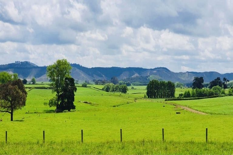 Photo of property in 78b Falls Road, Waerenga, Te Kauwhata, 3782