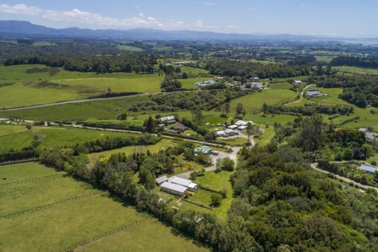 Photo of property in 36 Goodall Road, Whakamarama, Tauranga, 3179