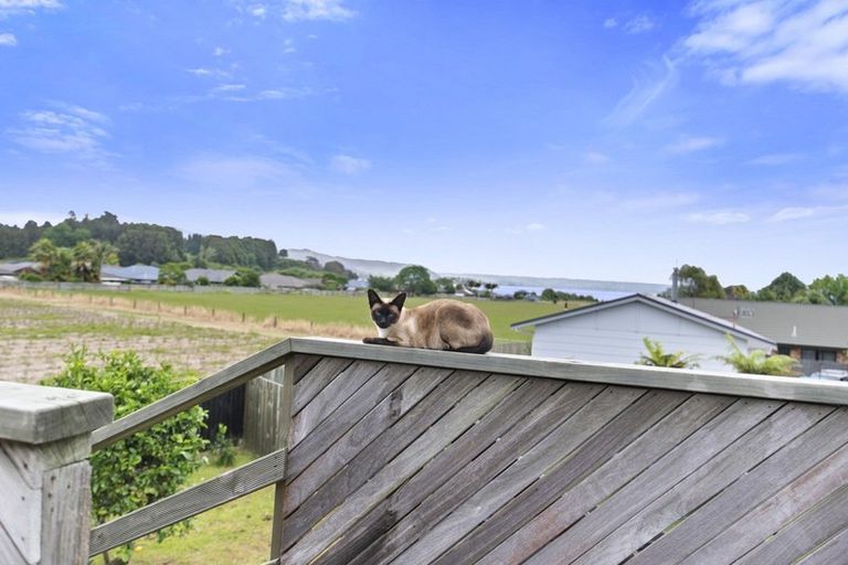 Photo of property in 16 Bronte Place, Owhata, Rotorua, 3010
